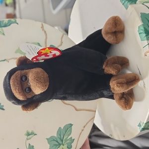 TY Congo Beanie baby 1996